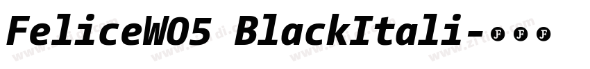 FeliceW05 BlackItali字体转换